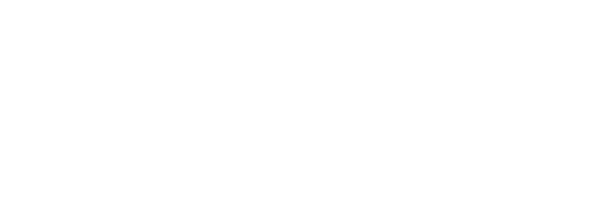 Central Adelaide Local Health Network Logo