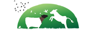 Freedom Hill Sanctuary Logo